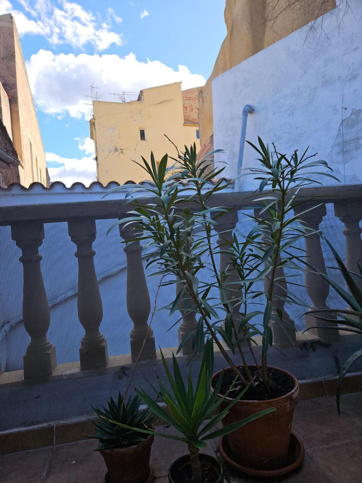 River Ebro Apartments Mora d'Ebre Εξωτερικό φωτογραφία
